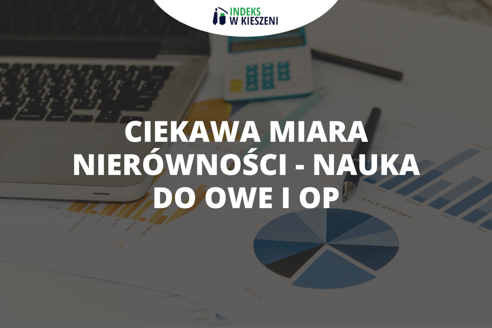 Ciekawa miara nierówności – nauka do OWE i OP a otaczający nas świat