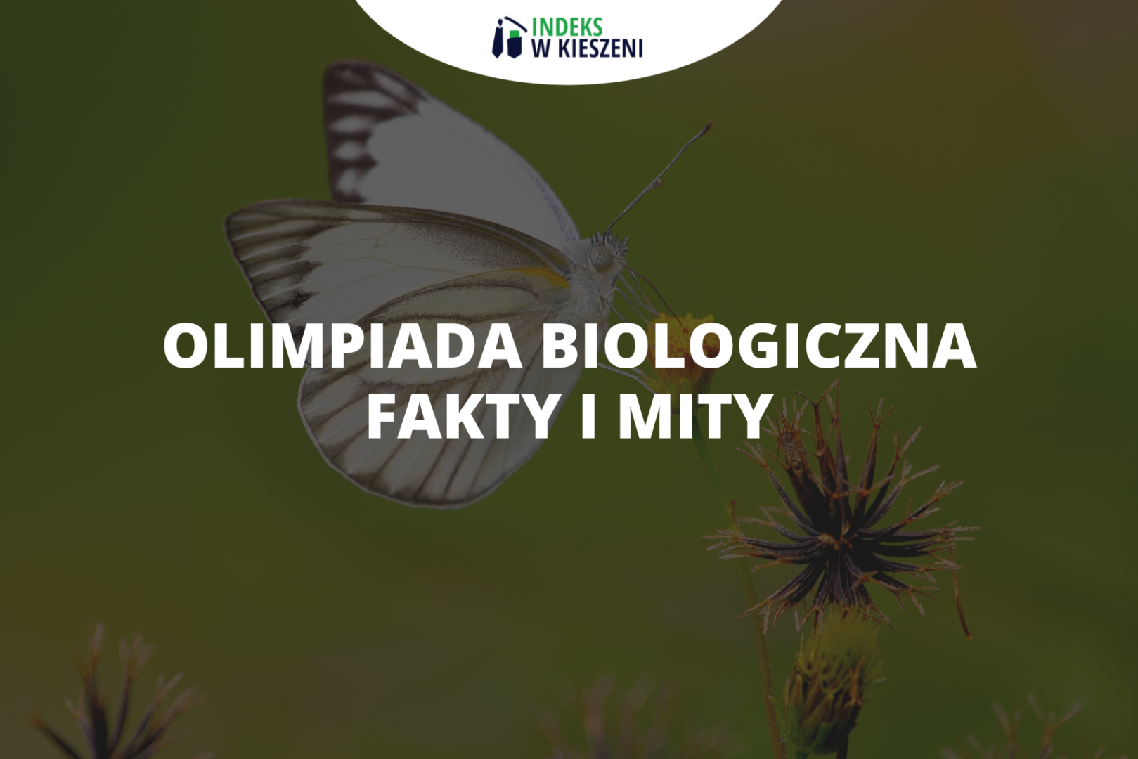 Olimpiada Biologiczna – fakty i mity