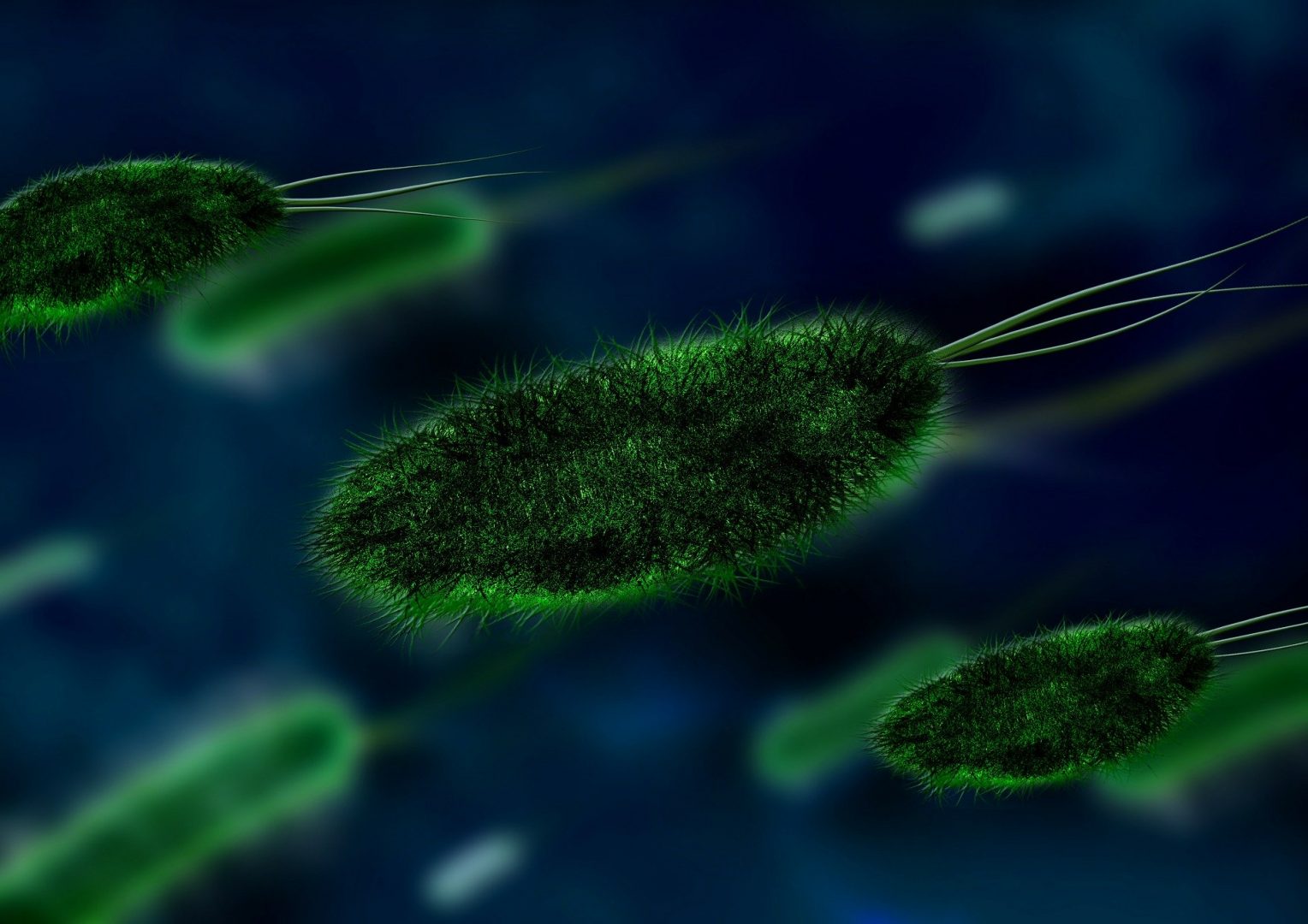 Stado zielonych bakterii 