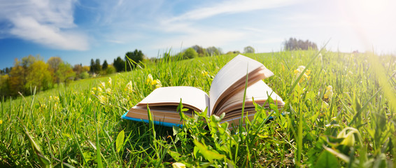 Rozłożona książka na polanie trawy.