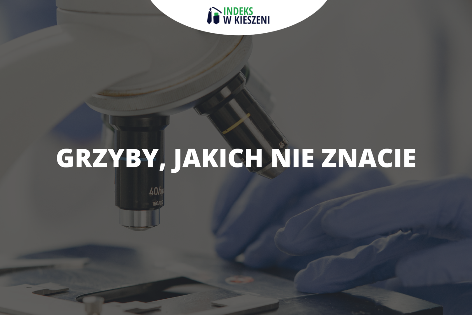 Grzyby jakich nie znacie - przygotowania do matury z biologii