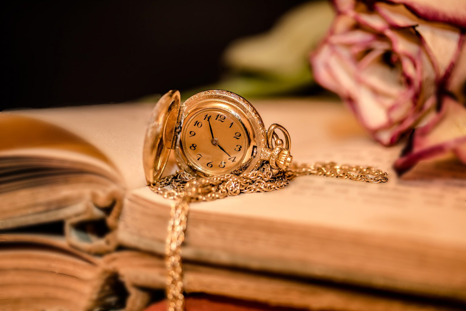 Zegarek leżący na książce z różą w tle