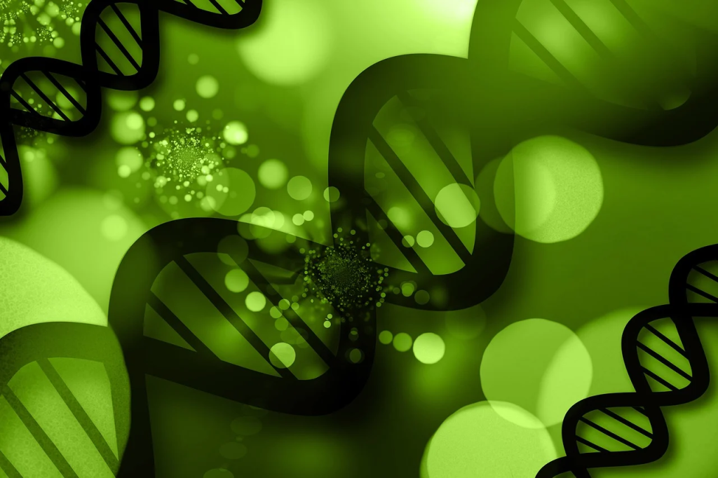 czego-nie-pisac-na-maturze-z-biologii