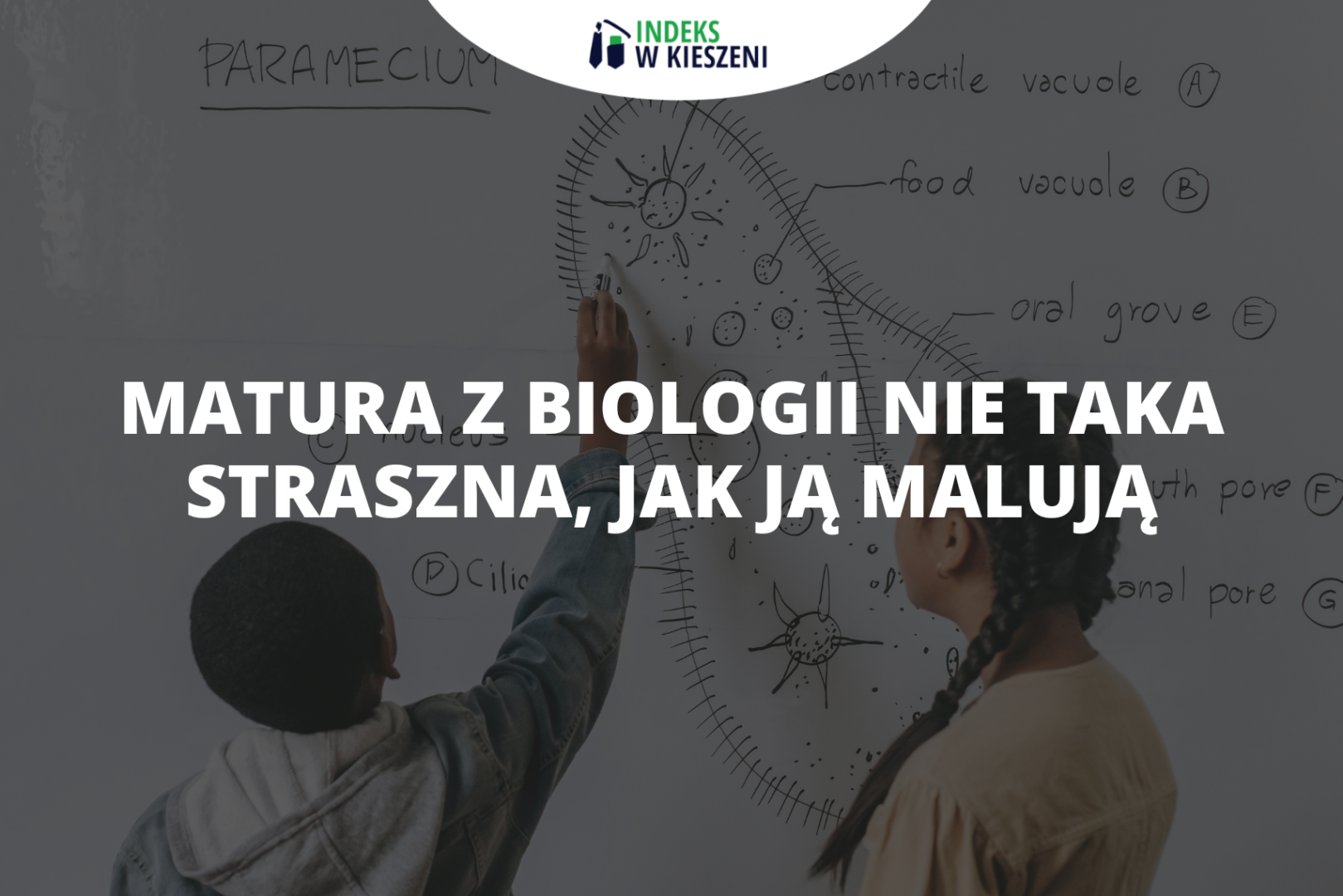 Matura z biologii nie taka straszna, jak ją malują – zakazane słowa i sformułowania