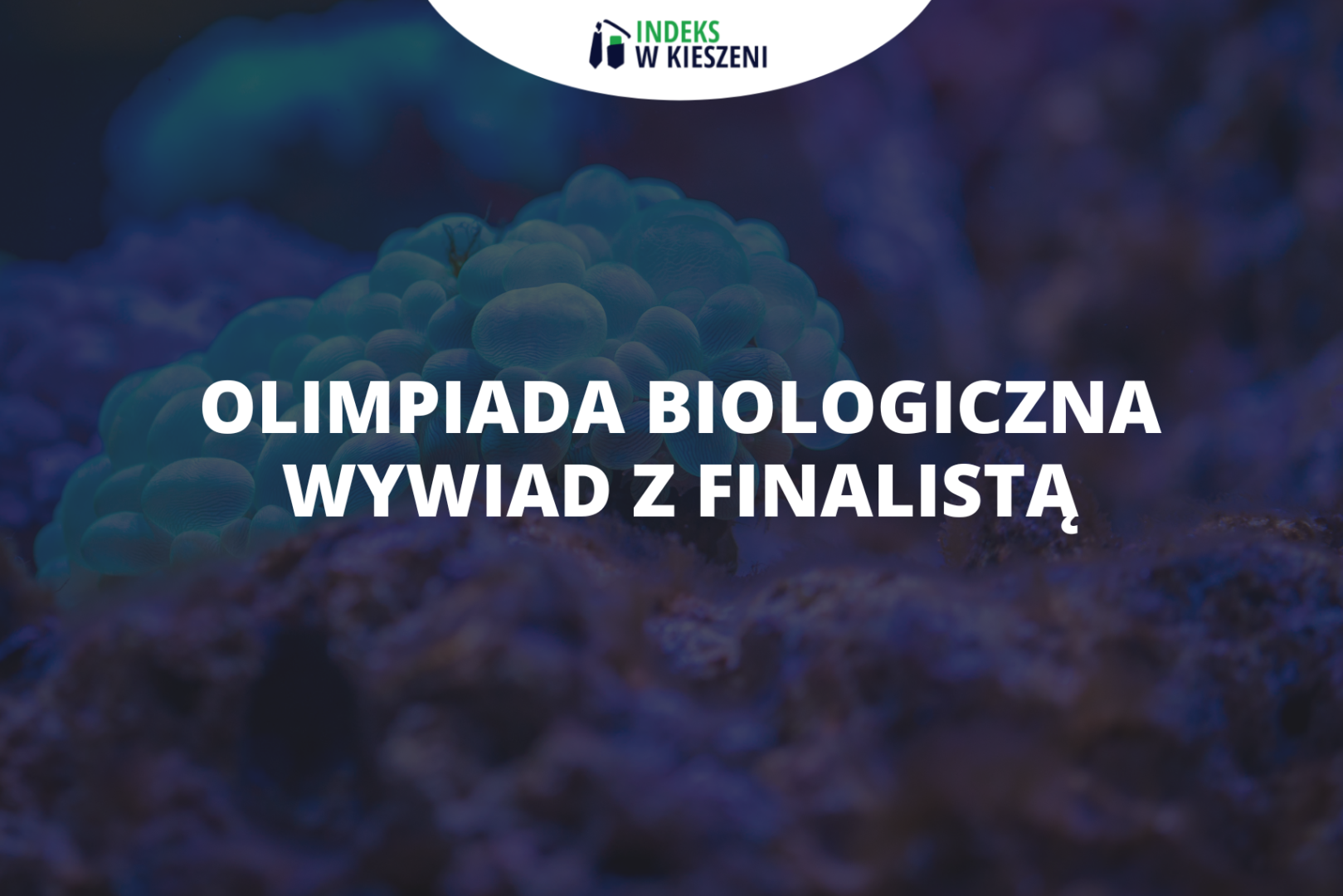 Olimpiada Biologiczna – wywiad z finalistą