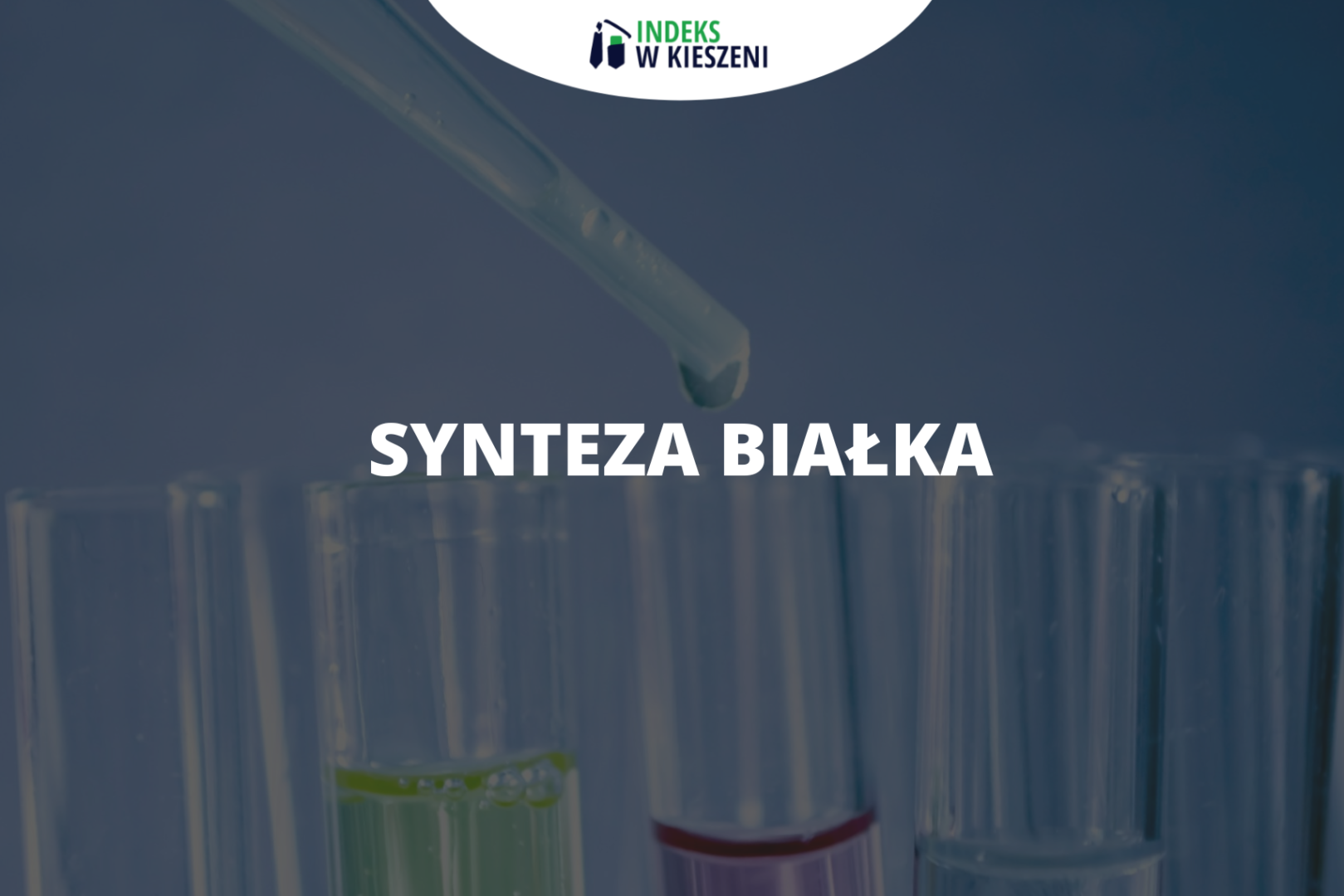 Synteza białka – ważne zagadnienie na maturze z biologii