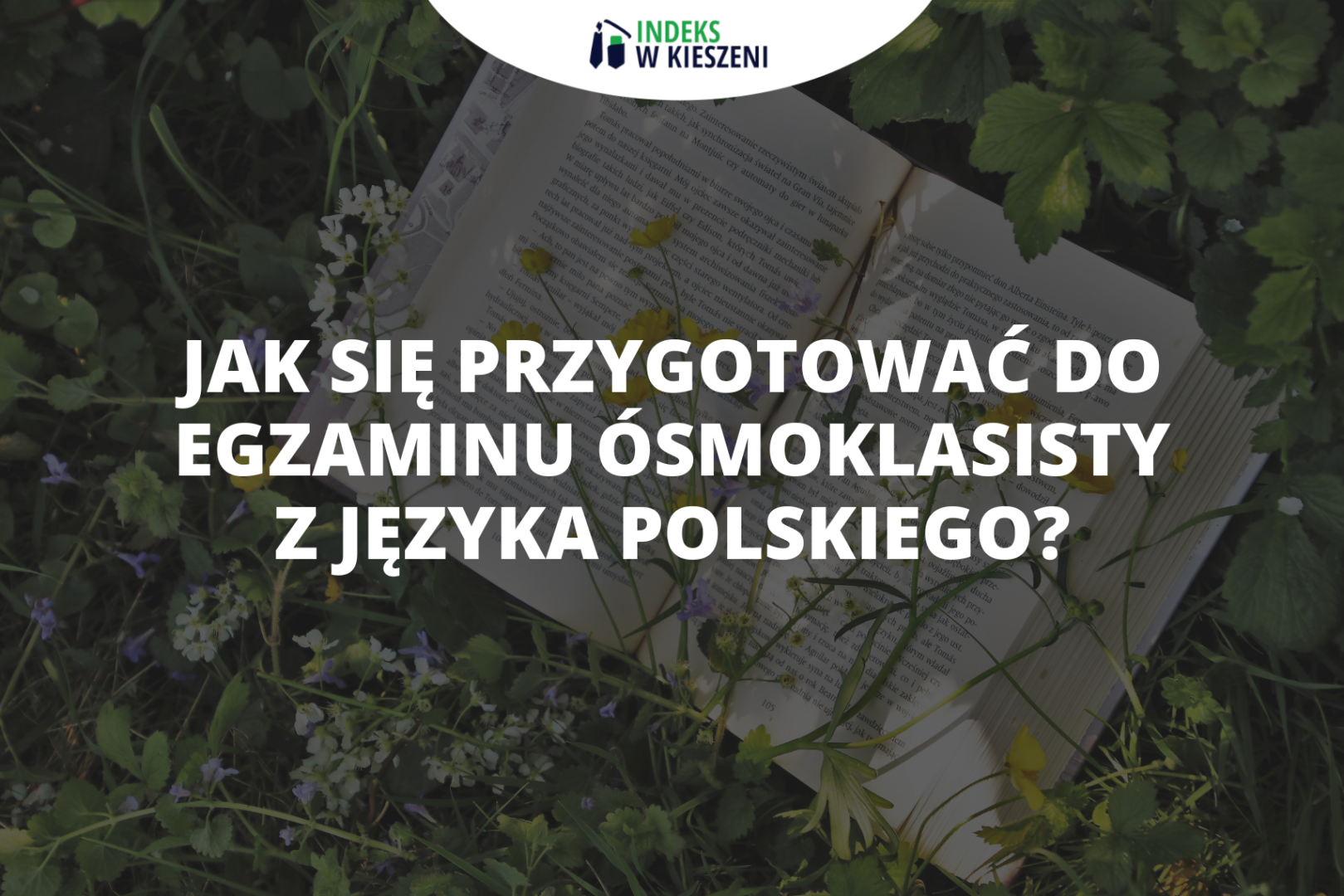 Egzamin ósmoklasisty z języka polskiego – jak się skutecznie przygotować?