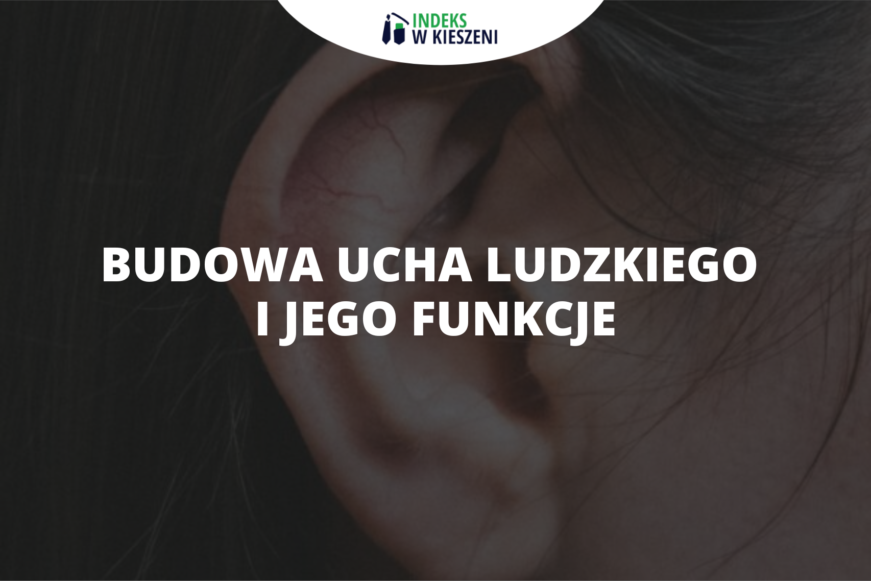 Budowa ucha ludzkiego i jego funkcje – sprawdź, co warto wiedzieć