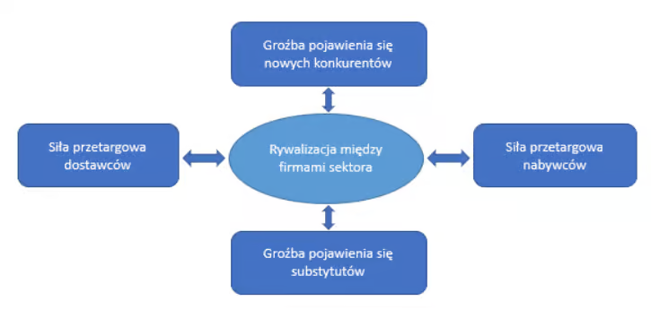 analiza-pięciu-sil-portera