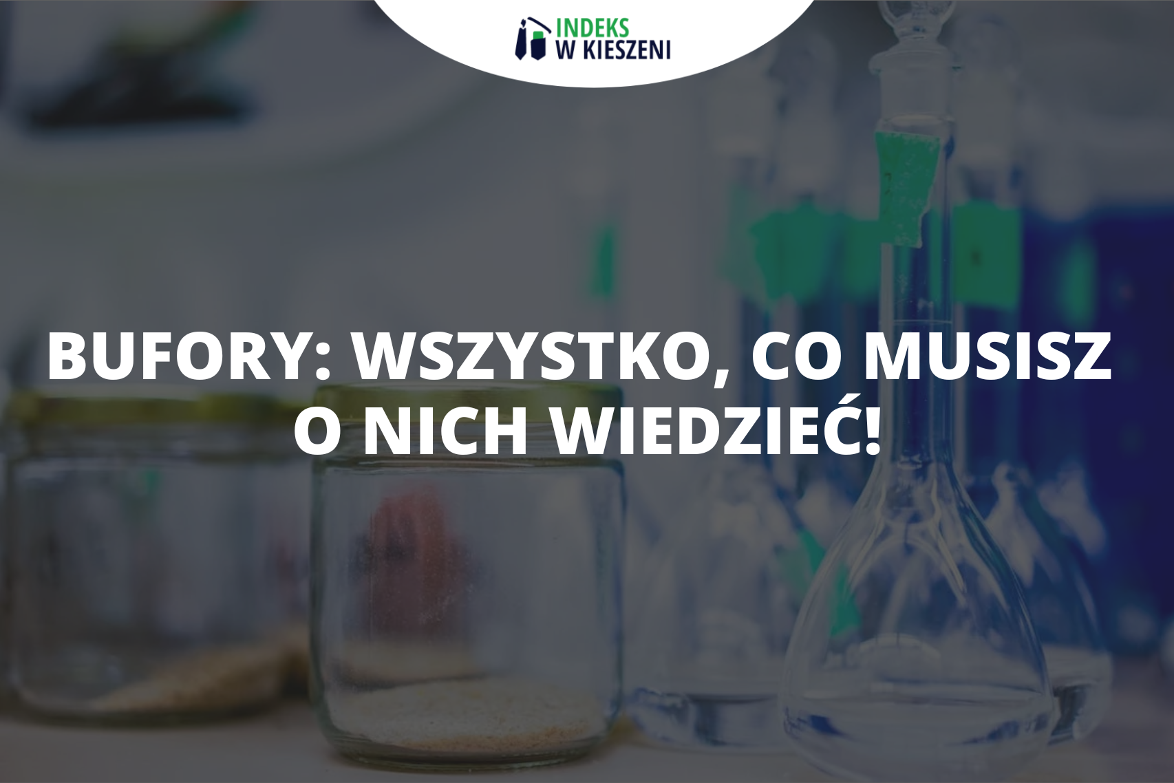 Bufory wszystko, co musisz o nich wiedzieć!