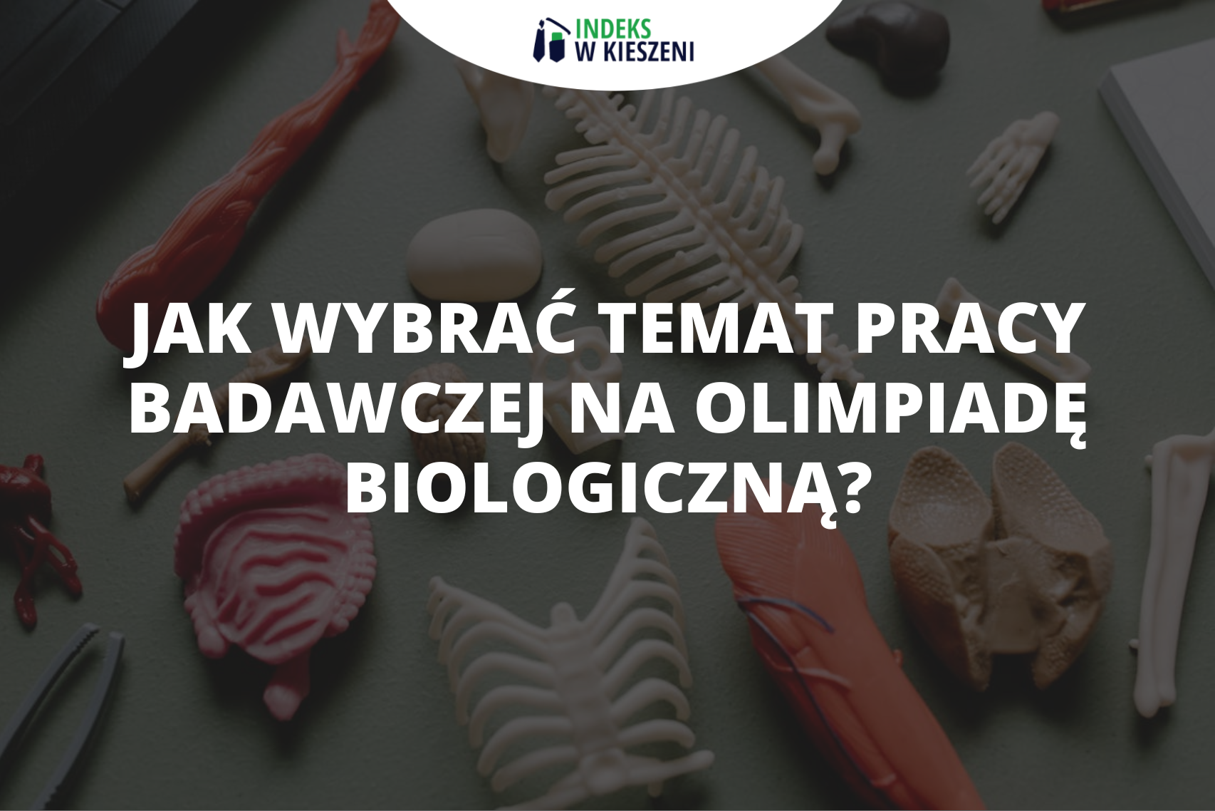 Jak wybrać temat pracy badawczej na Olimpiadę Biologiczną?