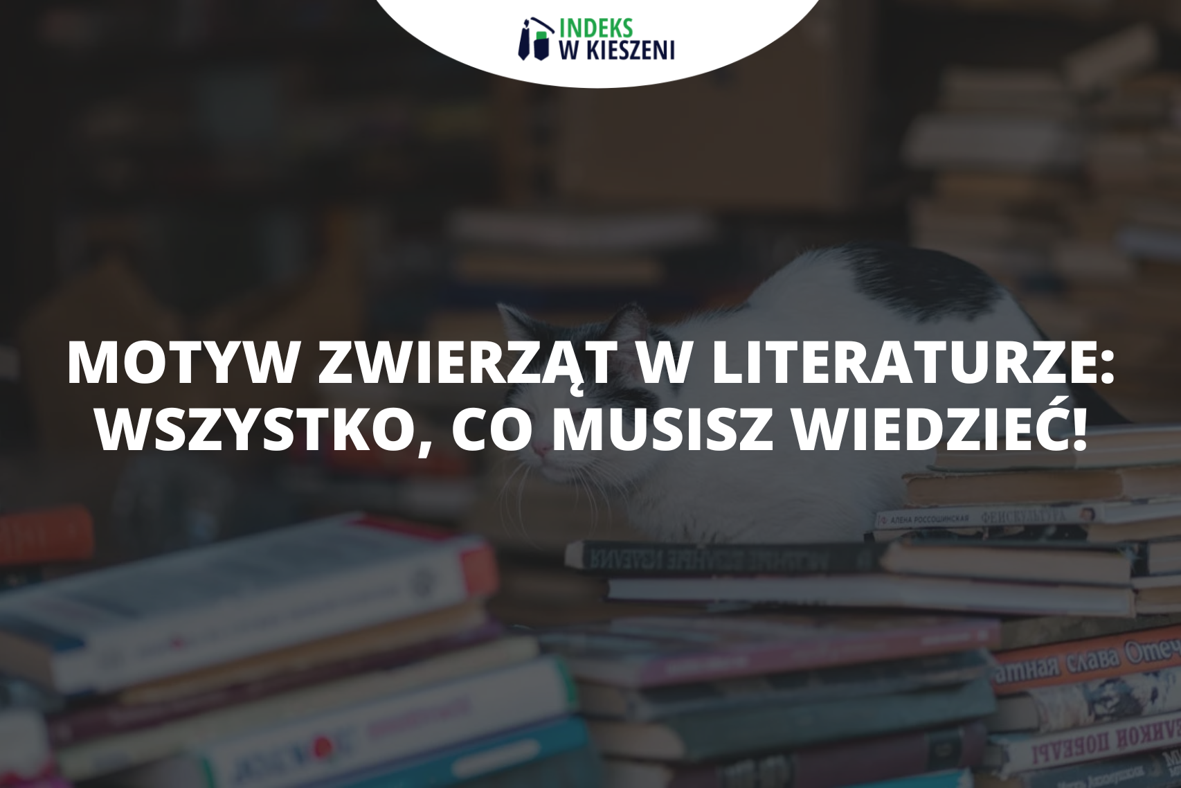 Motyw zwierząt w literaturze wszystko, co musisz wiedzieć!