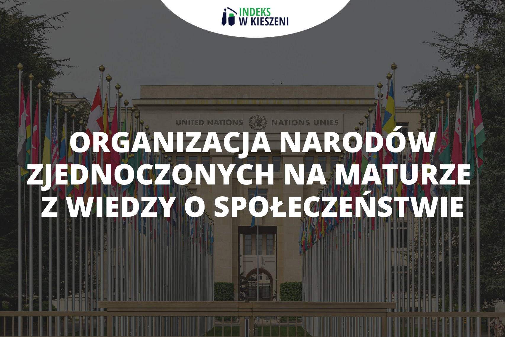 Najważniejsze organy Organizacji Narodów Zjednoczonych – co musisz wiedzieć na maturze z WOS–u?