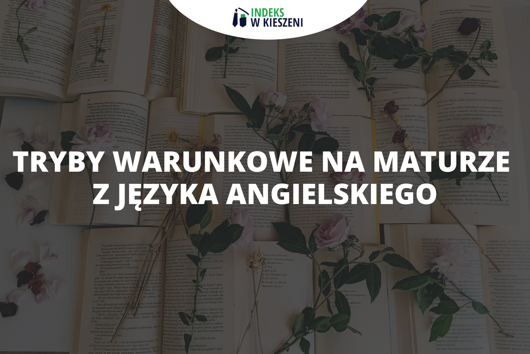 Tryby warunkowe w angielskim – co musisz umieć na maturze?
