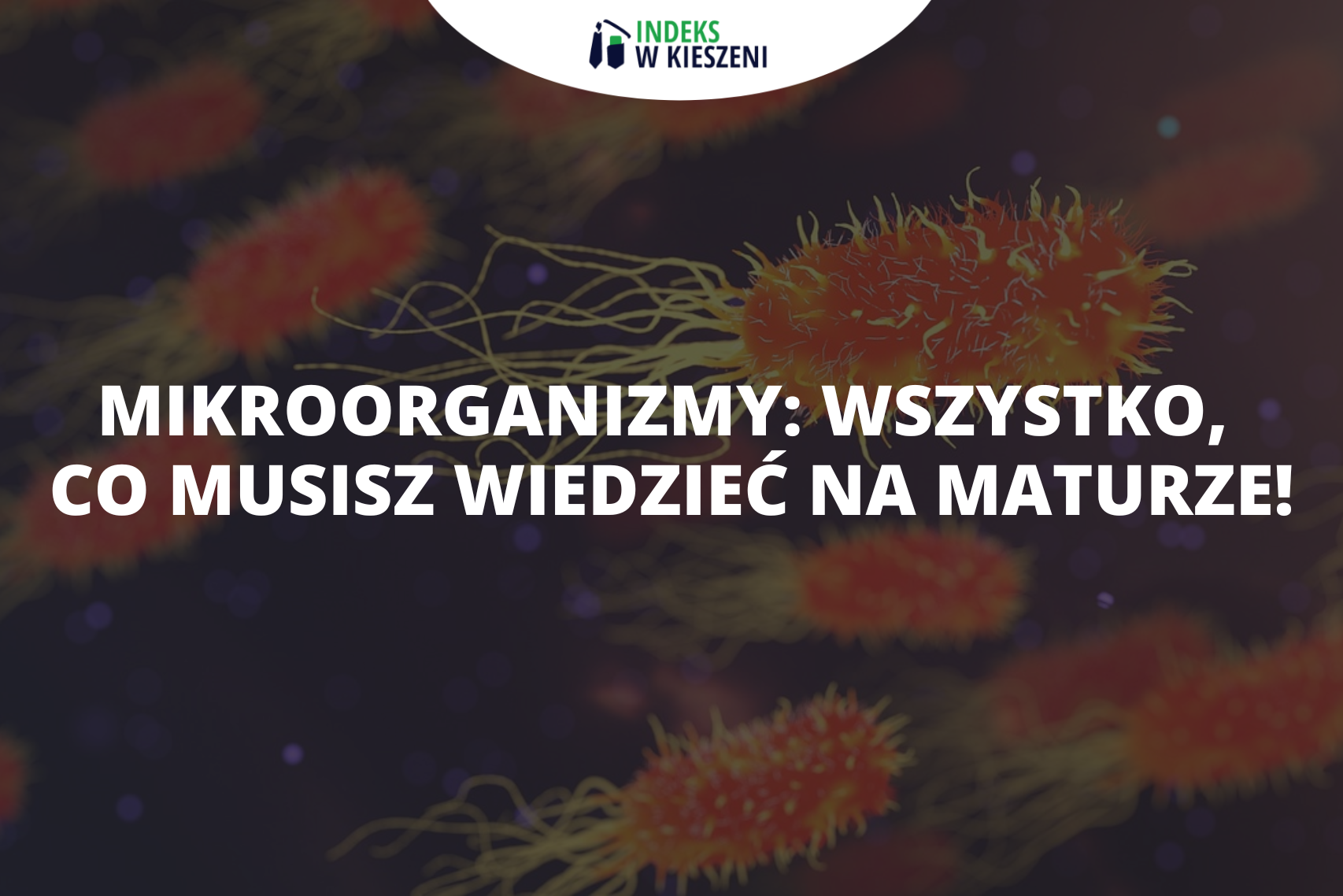 mikroorganizmy