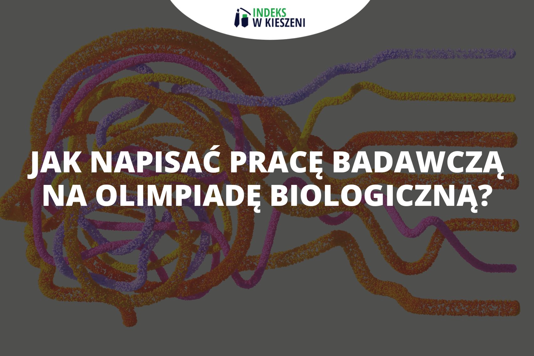 Jak napisać pracę badawczą na Olimpiadę Biologiczną?